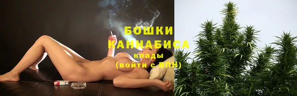 стаф Гусь-Хрустальный