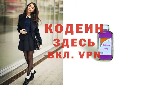 индика Дмитриев