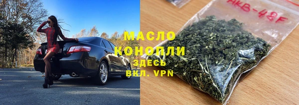 индика Дмитриев